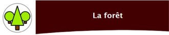 thème_l'appel de la forêt