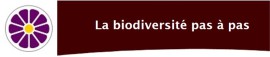 classe de decouverte_biodiversité